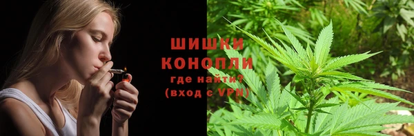 шишки Богородск
