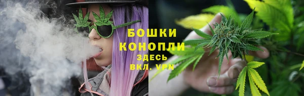 шишки Богородск