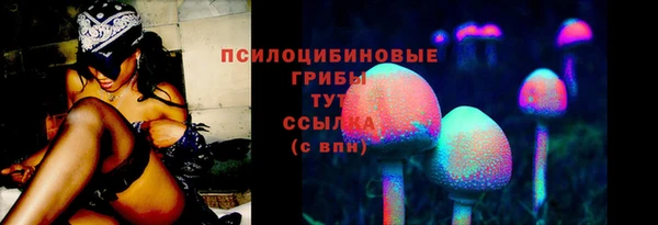 шишки Богородск