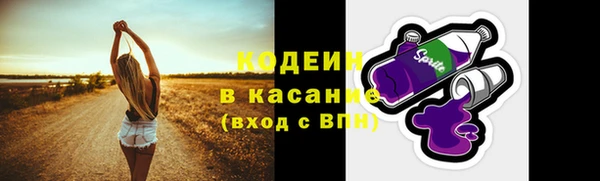 шишки Богородск