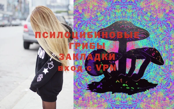 соль курить ск Богородицк