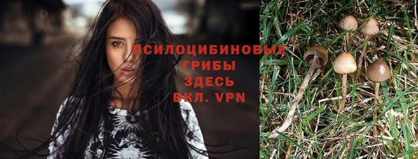 шишки Богородск