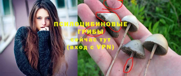 шишки Богородск