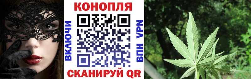 Каннабис план  Новосиль 